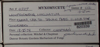 Image Associated With the Occurence